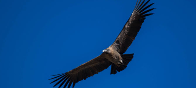 Valle del Colca, un paraíso profundo.