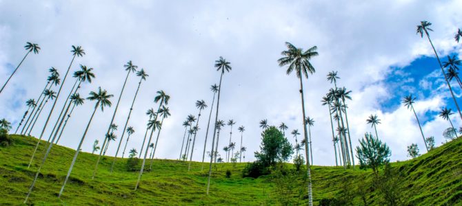 Salento, Valle del Cocora y Filandia. El corazón del eje cafetero colombiano!!!