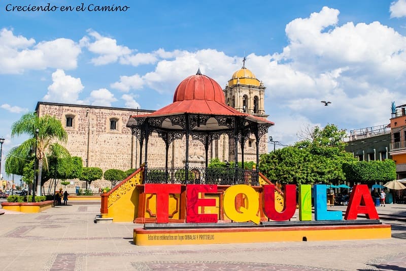 Que hacer y visitar en Tequila, México, la ciudad de los agaves!!!